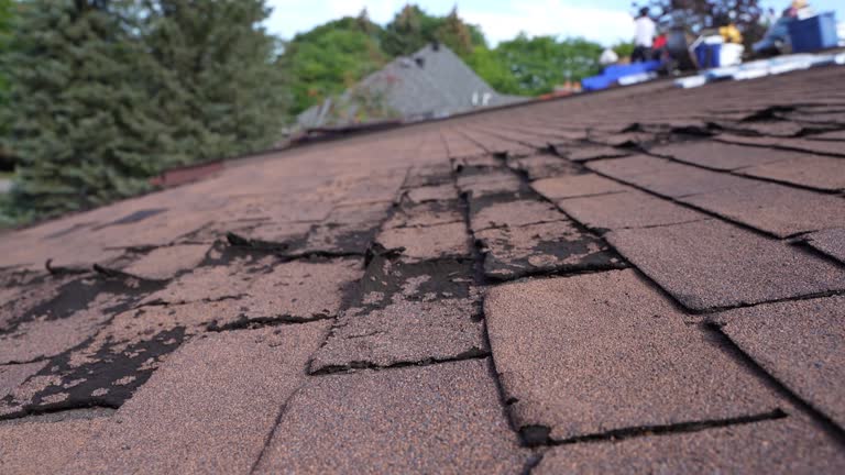 Best Asphalt Shingle Roofing  in Norwood, OK