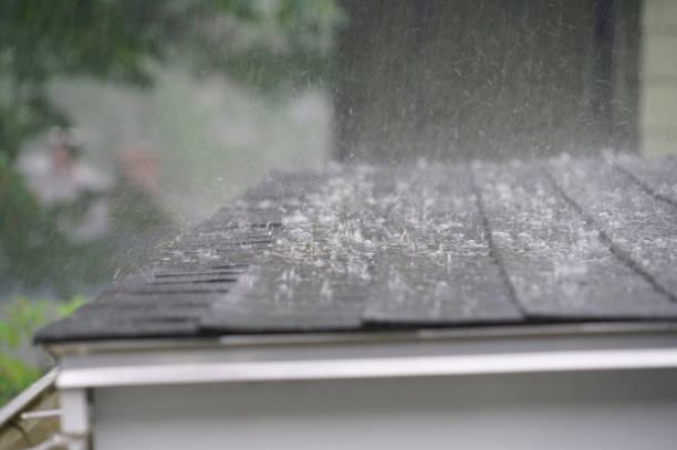 Best Roof Coating and Sealing  in Norwood, OK