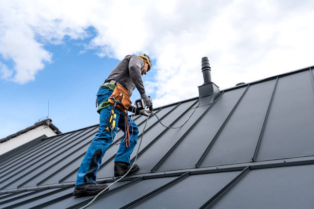 Best Gutter Replacement  in Norwood, OK